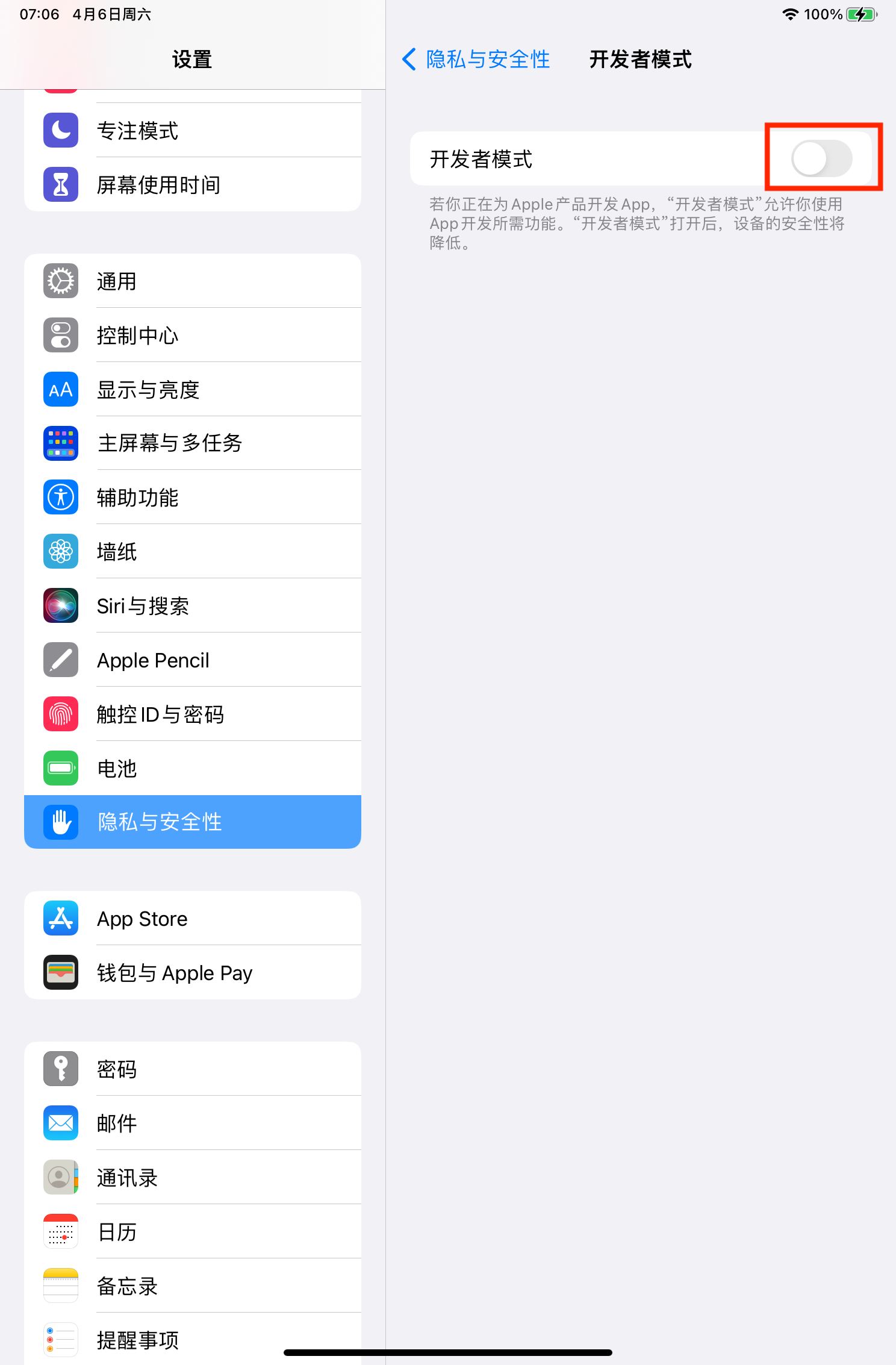 ipad-settings-privacy-security-developer-mode